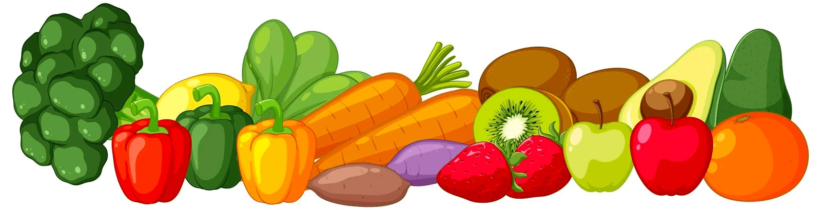 everfit nutrition